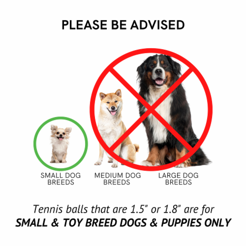 Midlee Mini 1.5 Dog Tennis Balls with Squeaker, Set of 12 Solid Colors Perspective: top