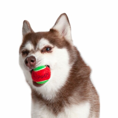 Midlee 1.5 Mini Squeaker Christmas Dog Tennis Balls - Red/Green Pack of 12 Perspective: top