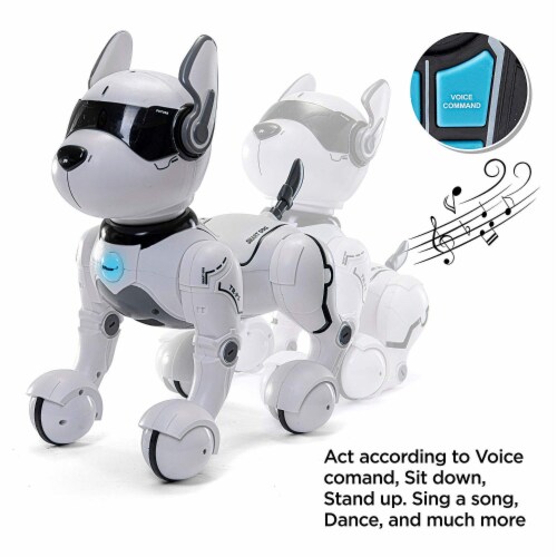 Top race cheap smart robot