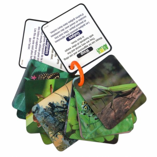 Smart Play Animal Planet 3D Creatures Flash Cards Set, 1 - Ralphs