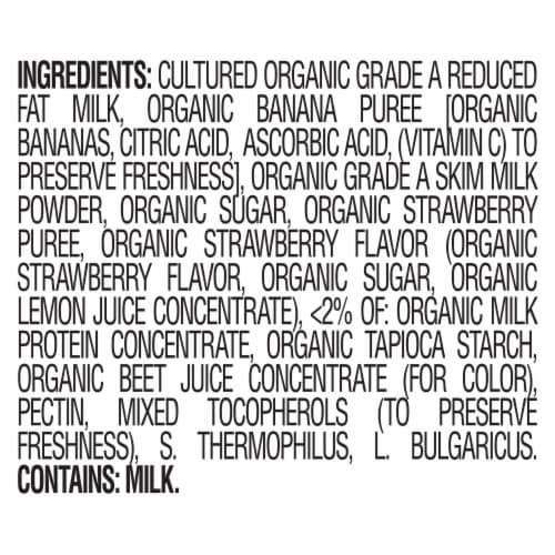 Happy Baby Organic Greek Yogis Freeze-Dried Greek Yogurt & Fruit Snacks Strawberry Banana Bag Perspective: top