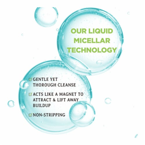 Carol's Daughter Wash Day Delight Water to Foam Shampoo Sulfate Free with Aloe Perspective: top