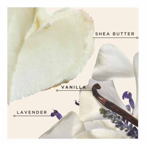 Carol's Daughter Black Vanilla Luscious Moisture Conditioner For Dry, Dull, Brittle Hair Perspective: top