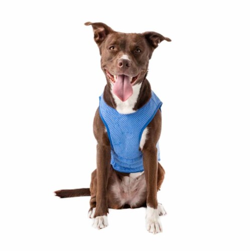 Go fresh pet hotsell ice cooling dog vest