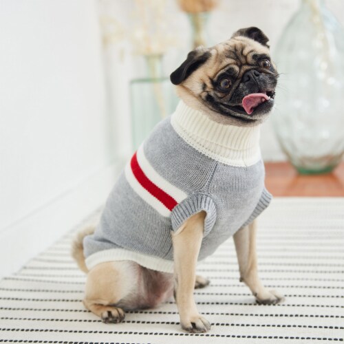 2x dog sweater deals