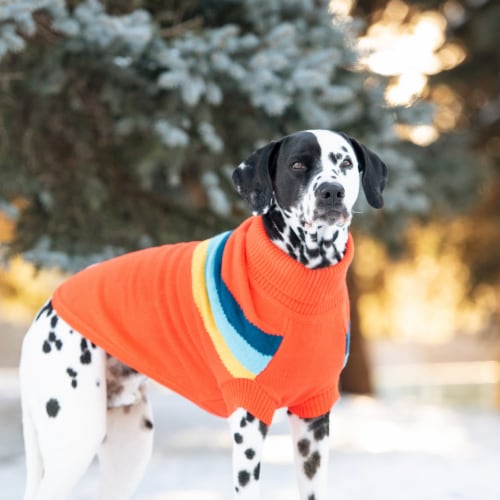 2x dog sweater sale