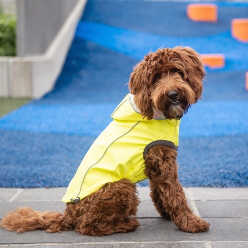 Goldendoodle raincoat shop