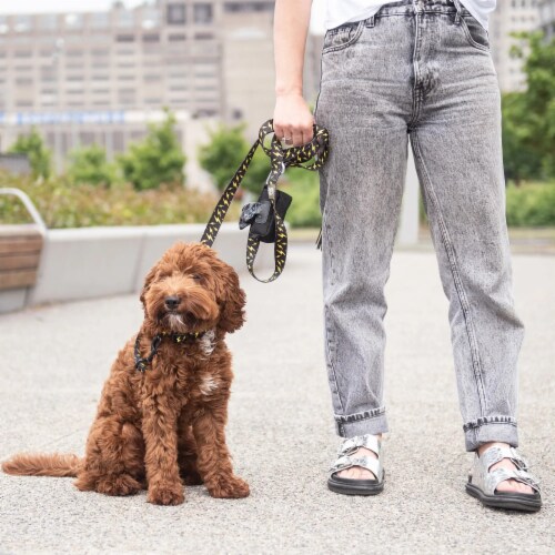 GF PET Poop Bag Dispenser Perspective: top