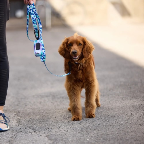 GF PET Poop Bag Dispenser Perspective: top