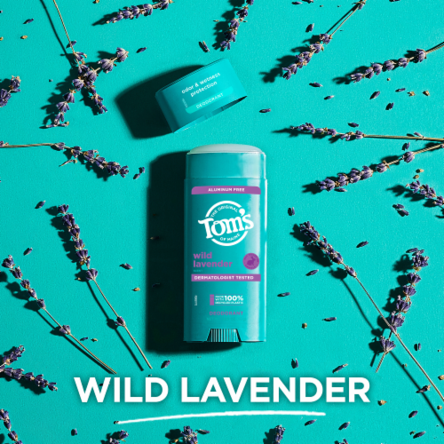 Tom’s of Maine Wild Lavender Natural Deodorant Aluminum Free Clear Application Perspective: top
