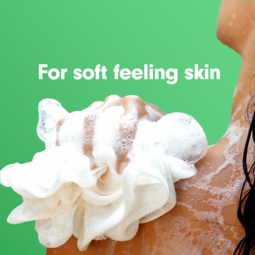 Softsoap Moisturizing Body Wash and Shave Gel Cool Cucumber Scent 20 fl oz Bottle Perspective: top