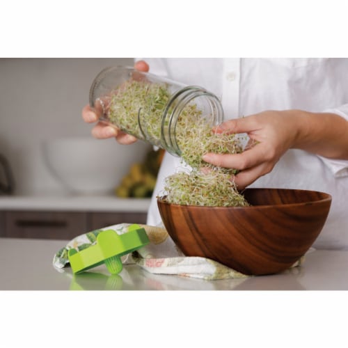 Masontops Wide Mouth Single Mason Jar Sprouting Kit Perspective: top