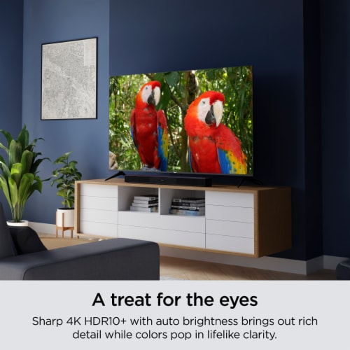 Roku 43" Select Series 4K TV - 43R4A4 Perspective: top