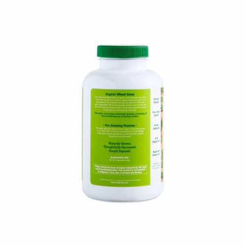 Amazing Grass Organic Wheat Grass 1000mg, 200 Tablets Perspective: top