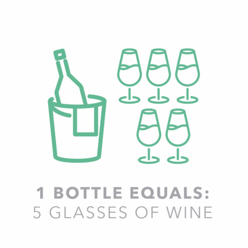 Pinetti Notte Pinot Grigio White Italian Wine Perspective: top