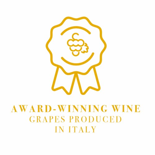 Dellatorri Sparkling Moscato White Wine Perspective: top