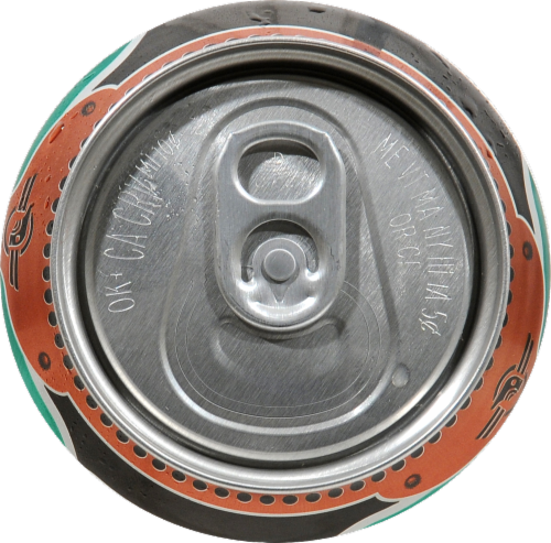Dieselpunk Double IPA Perspective: top