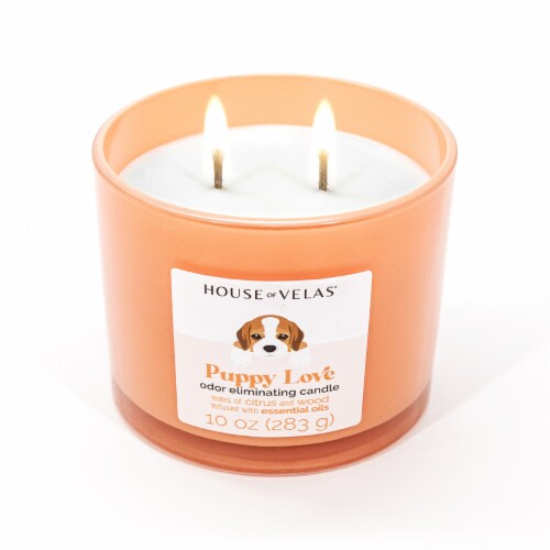 House of Velas® Jar Candle Puppy Love Odor Eliminating Perspective: top