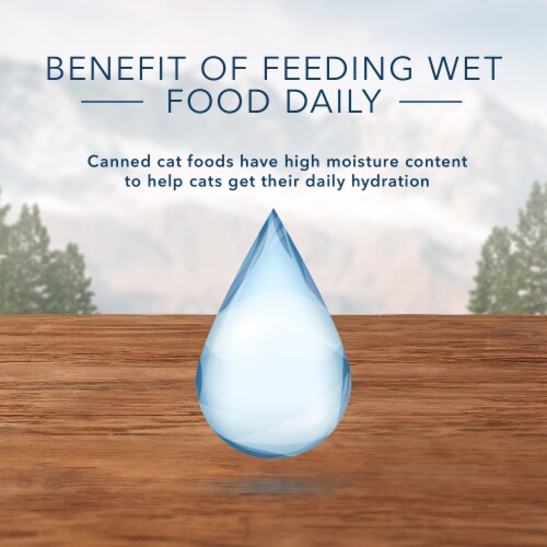 Blue Buffalo Wilderness Wild Delights Flaked Chicken & Turkey Wet Cat Food Perspective: top