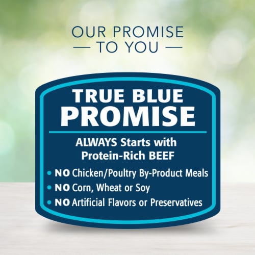 Blue Buffalo Freedom Grain-Free Recipe Dog Food Perspective: top