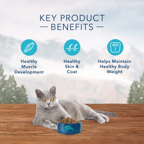 Blue™ Wilderness® Nature's Evolutionary Diet™ Chicken Adult Indoor Dry Cat Food Perspective: top