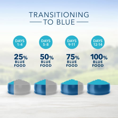 Blue Buffalo™ Tastefuls™ Chicken & Brown Rice Adult Dry Cat Food Perspective: top