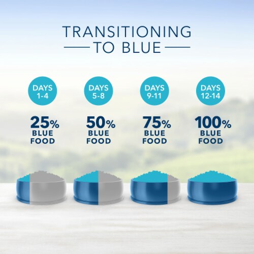 Blue buffalo healthy living sale
