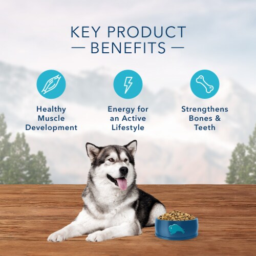 Blue Buffalo Wilderness High Protein Natural Chicken Adult Dry Dog Food Perspective: top