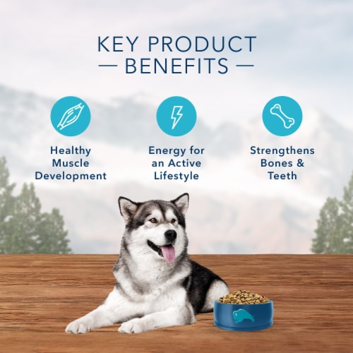 Blue Buffalo Wilderness High Protein Natural Salmon Adult Dry Dog Food Perspective: top