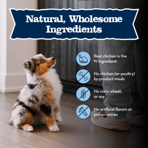 Blue Buffalo Baby BLUE Natural Puppy Wet Dog Food Chicken & Vegetables Perspective: top