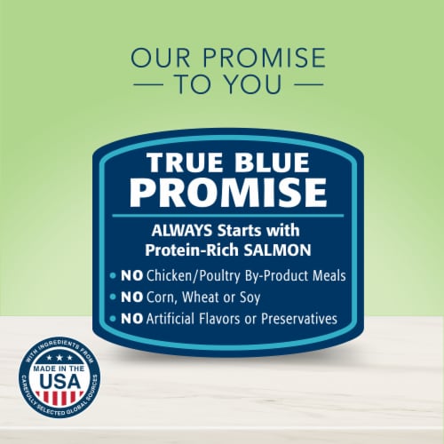 Blue Buffalo True Solutions Perfect Coat Salmon Skin & Coat Care Formula Natural Dry Cat Food Perspective: top