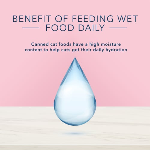 Blue Buffalo® True Solutions® Blissful Belly Cat Food Perspective: top