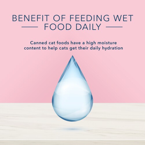 Blue Buffalo® True Solutions® Blissful Belly Cat Food Perspective: top