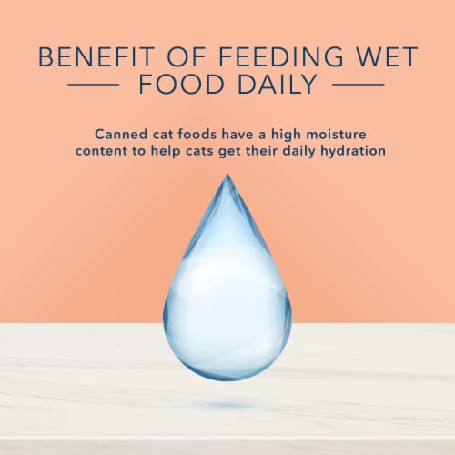 Blue Buffalo® True Solutions™ Fit and Healthy Adult Wet Cat Food Perspective: top
