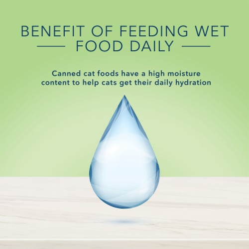 Blue Buffalo® True Solutions™ Perfect Coat Whitefish Adult Wet Cat Food Perspective: top