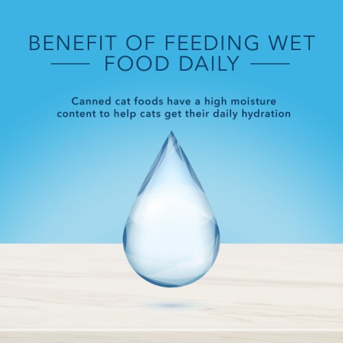 Blue BuffaloTrue Solutions Fab Feline Chicken Natural Indoor Adult Wet Cat Food Perspective: top