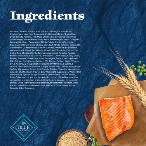 Blue Buffalo Wilderness High Protein Natural Adult Dry Dog Food Salmon Perspective: top