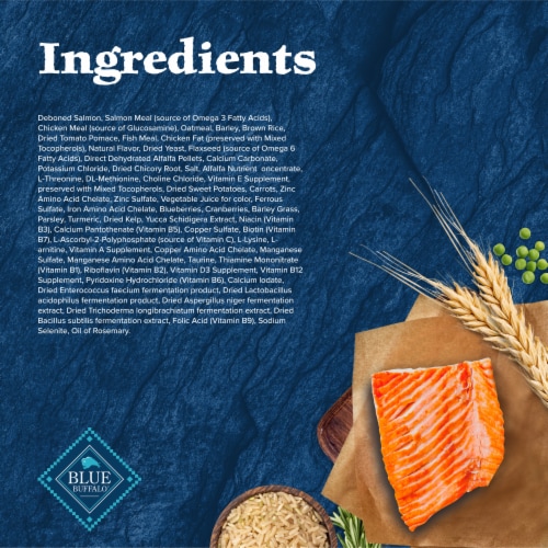 Blue Buffalo Wilderness Adult Dog Food Salmon Perspective: top