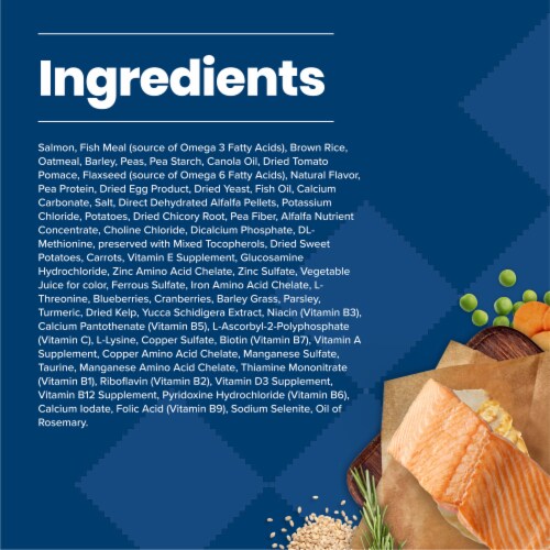 Blue Buffalo Life Protection Formula Adult Dry Dog Food, Salmon & Brown Rice Recipe, 15-lb. Bag Perspective: top