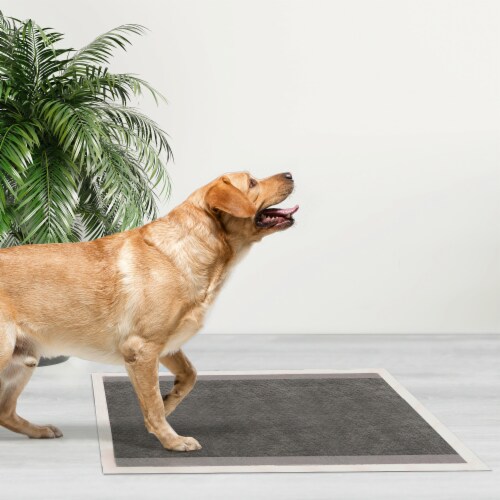 Bulk dog pee pads discount