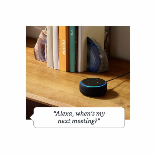 Amazon Echo Dot 3rd Generation Charcoal 1 ct Smith s Food and