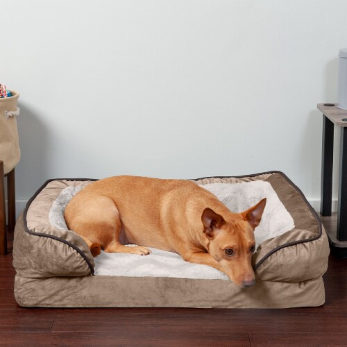 Top paw orthopedic luxurious sofa bed on sale