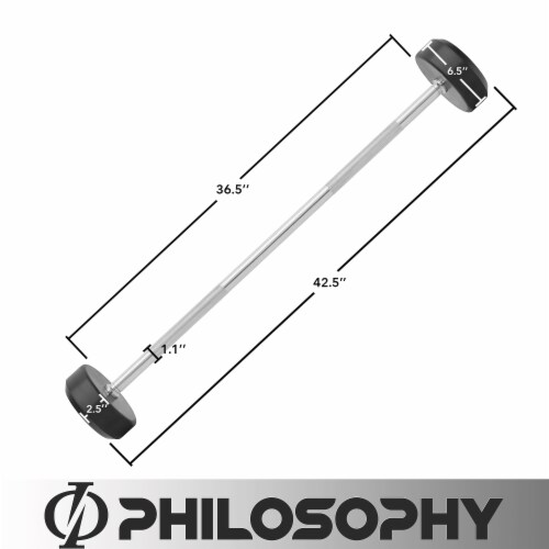 Weighted workout bar 40 lbs online