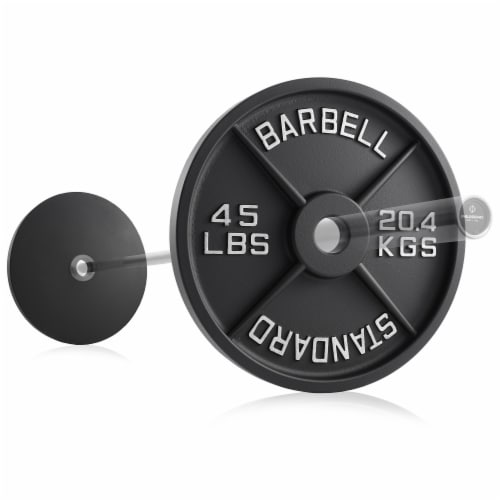 Set of 2 Standard Cast Iron Olympic 2-inch Weight Plates (45 LB each) Perspective: top