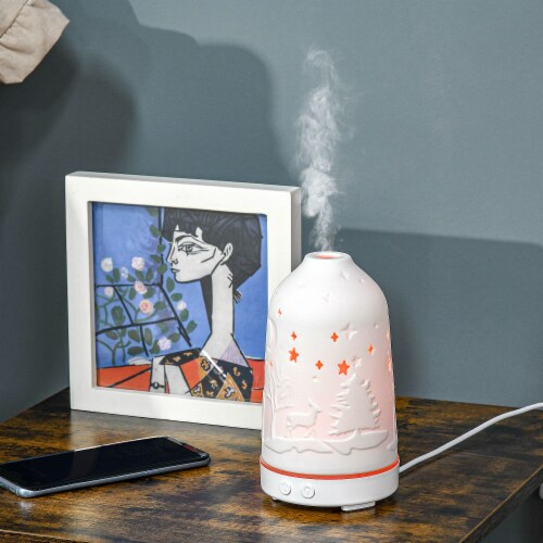 Essential Oil Diffuser Ultrasonic Humidifier w/ LED Lights, 2 Mist Modes, Timer Perspective: top