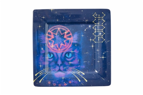 Marvel’s Captain Marvel Celestial Goose 4-Piece Melamine Plate Set Perspective: top