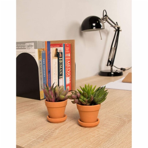 Juvale Small Terra Cotta Pots with Saucer- 16-Pack Clay Flower Pots with Saucers Perspective: top