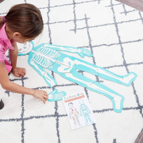 Set of 17 Pieces Magnetic Human Body Puzzle Double Sided, approx. 3 Foot Tall Perspective: top