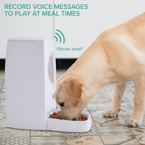 Arf pets automatic pet feeder food dispenser for dogs & cats shop
