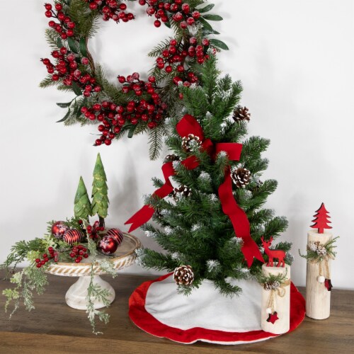 Northlight 18  White and Red Velveteen Mini Christmas Round Tree Skirt Perspective: top